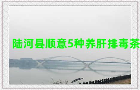 陆河县顺意5种养肝排毒茶价格表