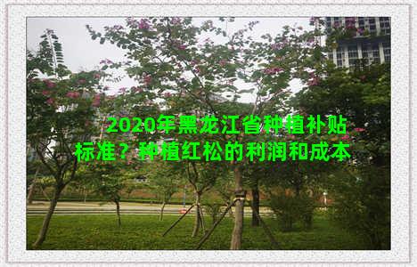 2020年黑龙江省种植补贴标准？种植红松的利润和成本