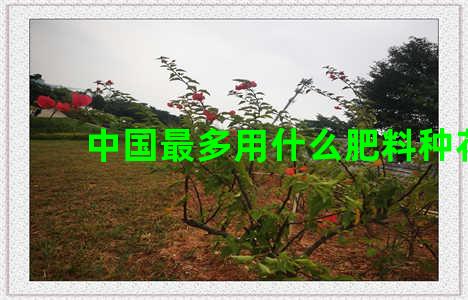 中国最多用什么肥料种花