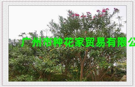 广州市种花家贸易有限公司