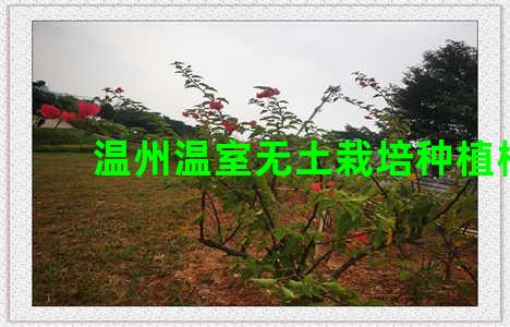温州温室无土栽培种植槽