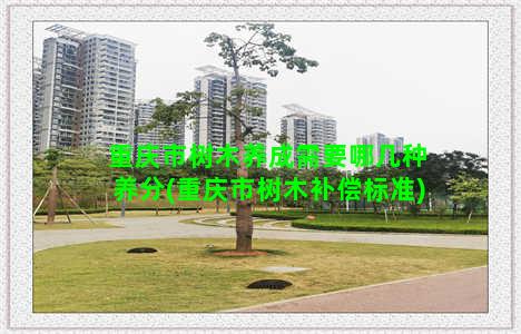 重庆市树木养成需要哪几种养分(重庆市树木补偿标准)